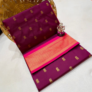 Devika Kadiyal Paithani Saree in Soft Tana Silk with a contrast blouse piece