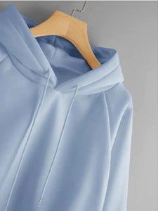 Classic Fleece Solid Hoodie Sweatshirts for Unisex