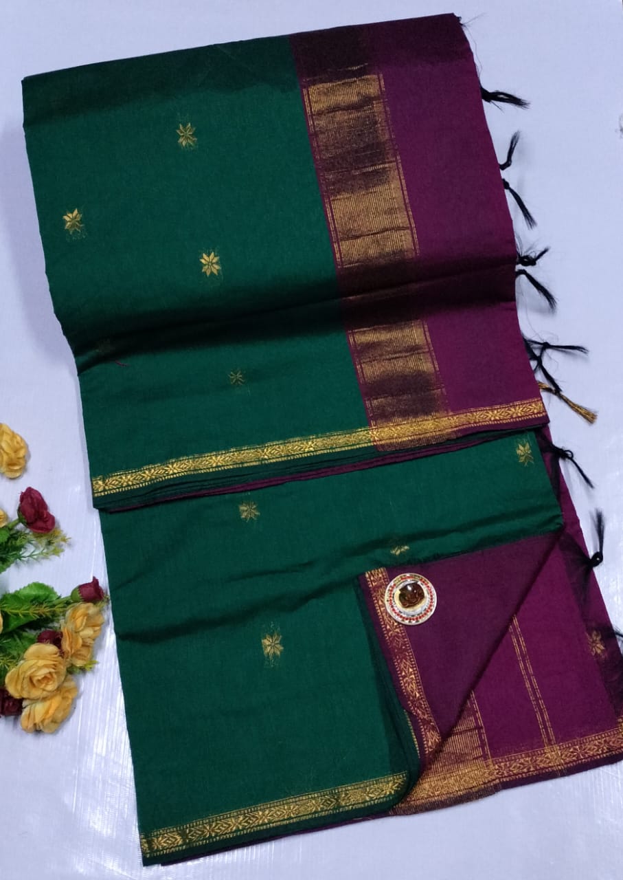 Green and purple saree with gold border on a white  Premium Maheshwari Silk Cotton Sarees Gadwal-Inspired | Sleek Dual Borders | Contrast Pallu &amp; Blouse.