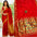 Premium Traditional Yeola Double Pallu Paithani Silk Saree – Pure Soft Silk