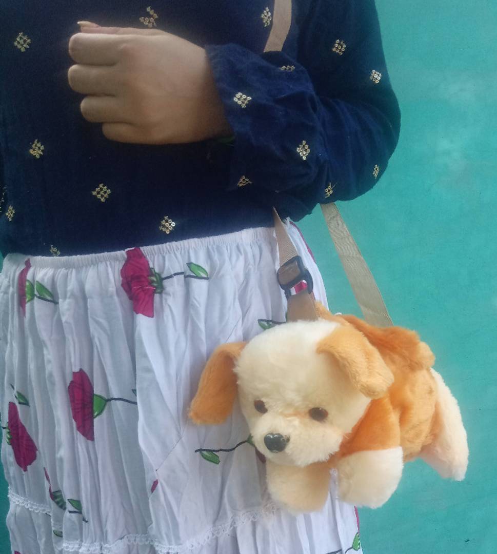 Shop Sequin Embellished Dog Shaped Crossbody Bag Online | Max UAE