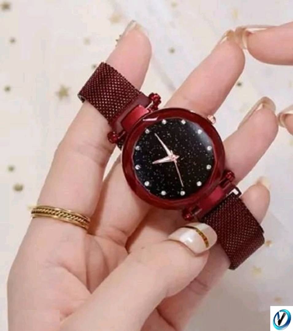 New Stylish Megnetic belt Women watches