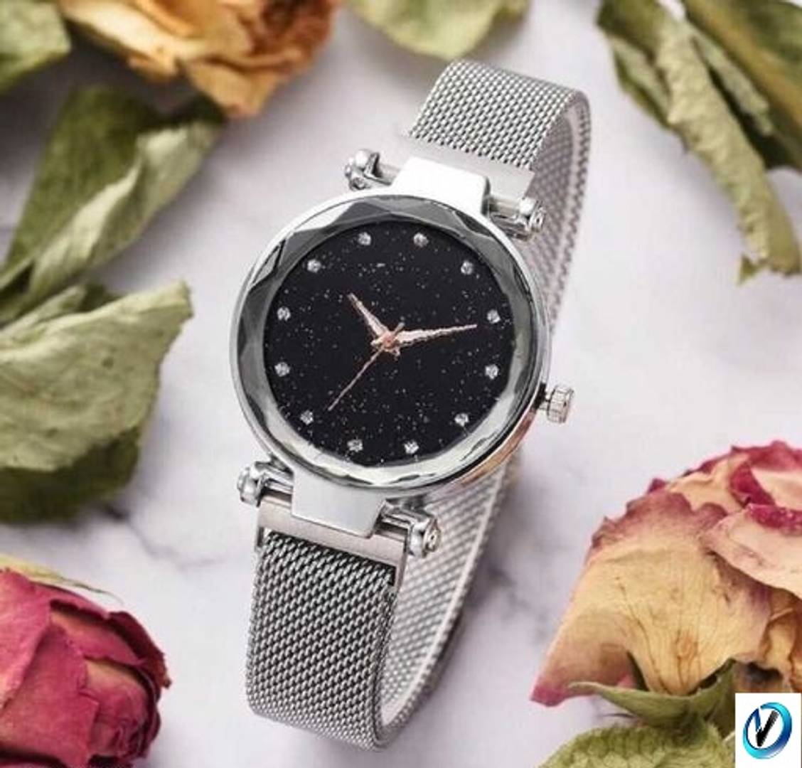 New Stylish Megnetic belt Women watches