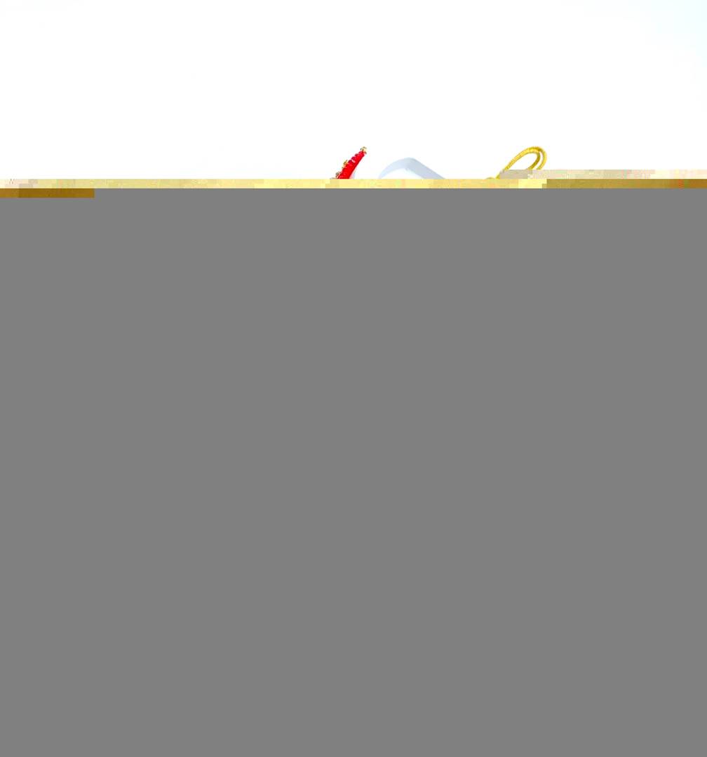 Stylish Red Alloy American Diamond Jewellery Set For Women